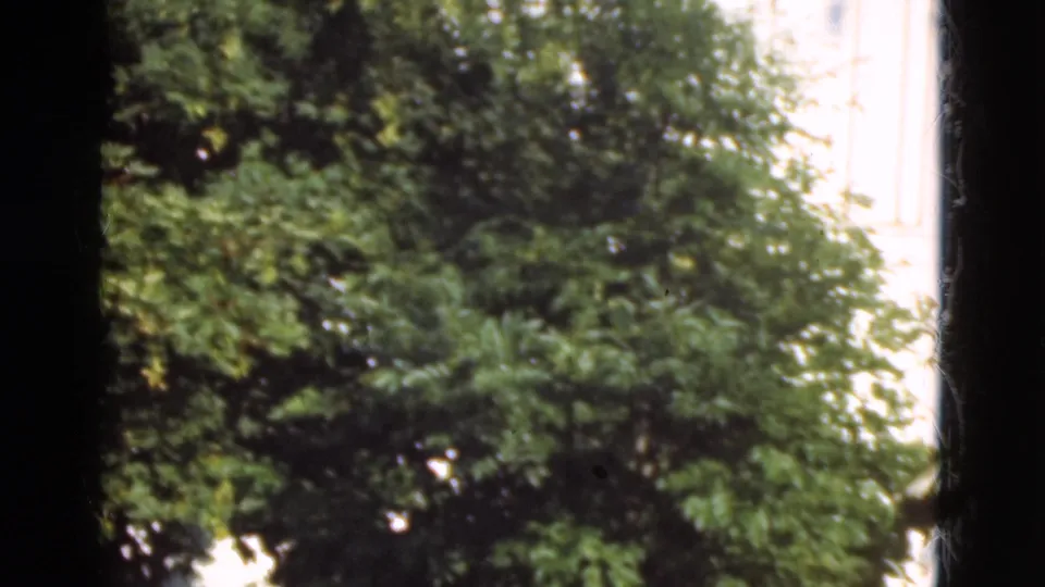 1975 Denmark home-movie frame with leafy trees dominating the view and pale exterior structures partly visible behind them.
