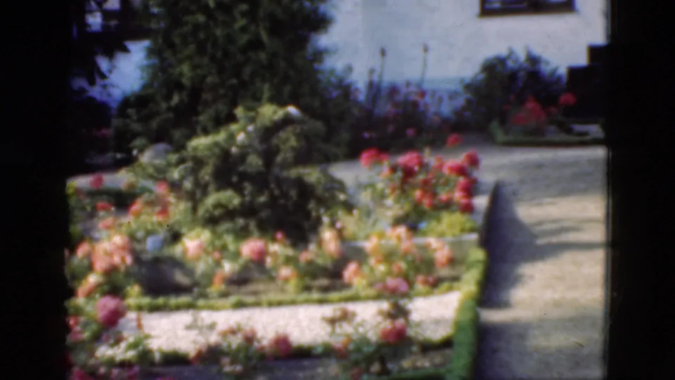 1975 Denmark 8mm still of a cemetery garden with flowering plots, clipped hedges, shrubs, and a sunlit path.