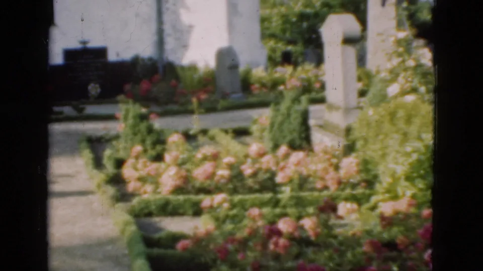 1975 Denmark cemetery frame showing white headstones, rose beds, clipped hedges, greenery, and a path in soft 8mm color.