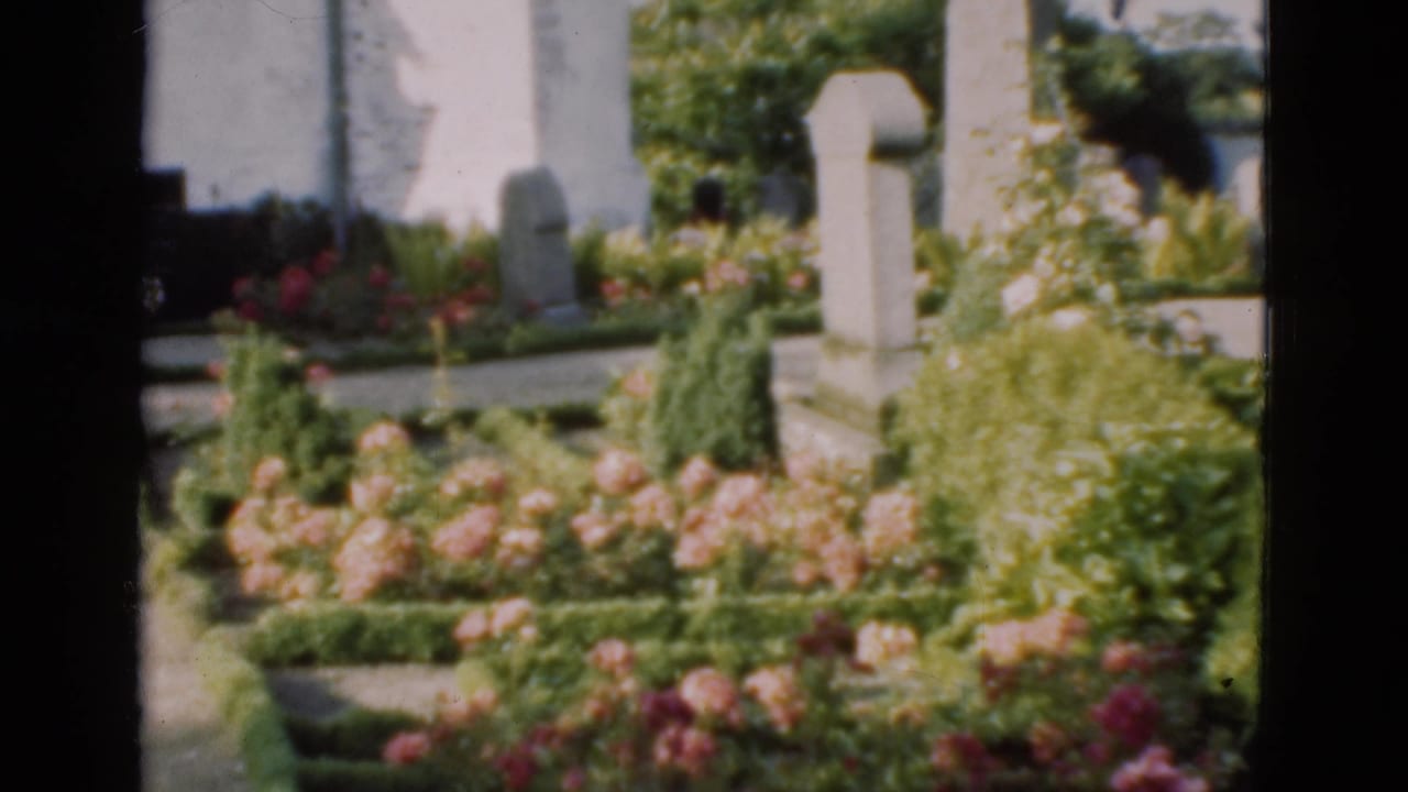 Flower beds and upright tombstones in a cemetery garden.