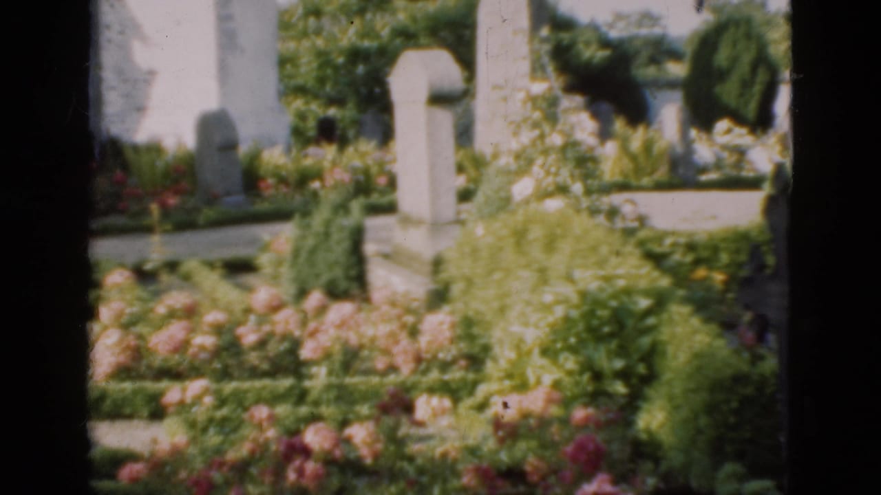 Soft 8mm frame of a Danish cemetery garden with bright plantings and pale upright memorial stones.