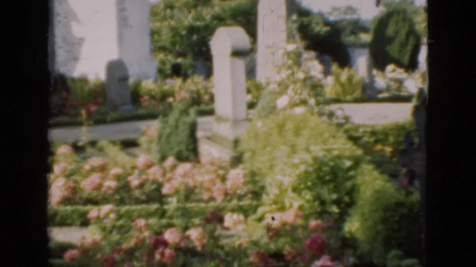 Soft 8mm frame of a Danish cemetery garden with bright plantings and pale upright memorial stones.