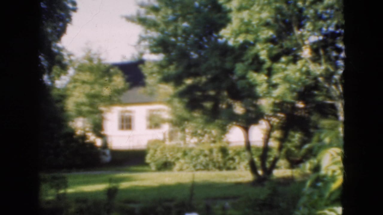 White house partly seen beyond trees and lawn in a rural garden setting.