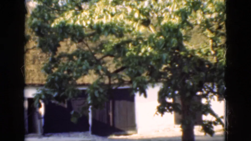 1975 Denmark 8mm frame where a leafy tree partly covers the white thatched-roof building and dark doorway area.