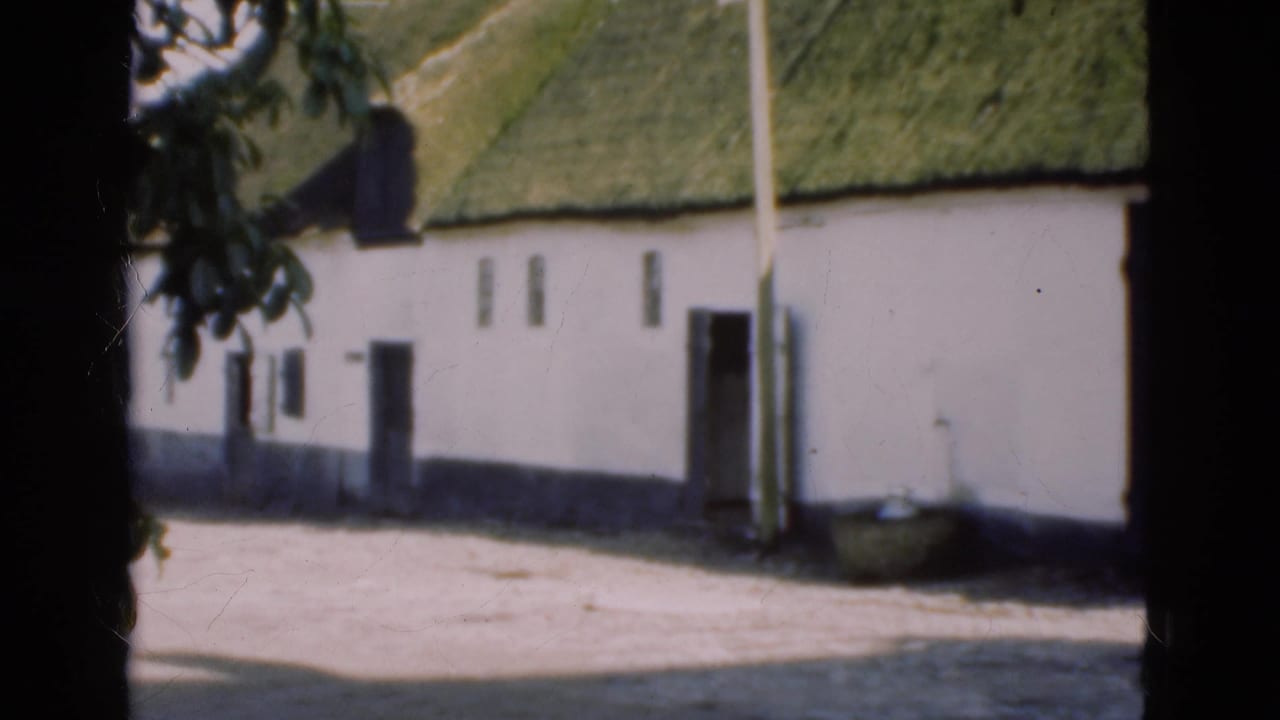 Whitewashed building wall with moss-green thatched roof, small windows, doorway, pole, and yard.