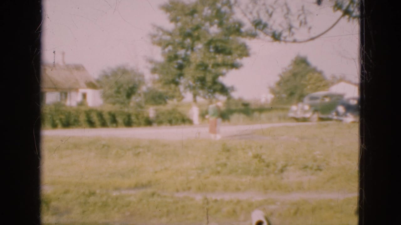 Person near a tree in a grassy field with cars and houses by the road.