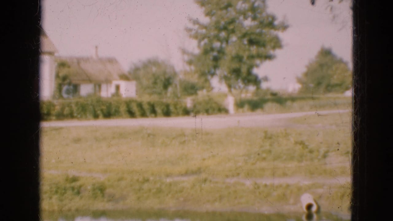 Window-framed view of a lawn, road, house, trees, and a small figure near the roadside.