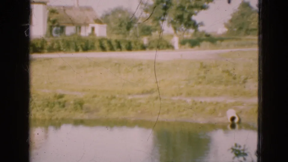 1975 Denmark home-movie view through a window as the frame lowers toward grass, roadside, trees, and a pond edge.