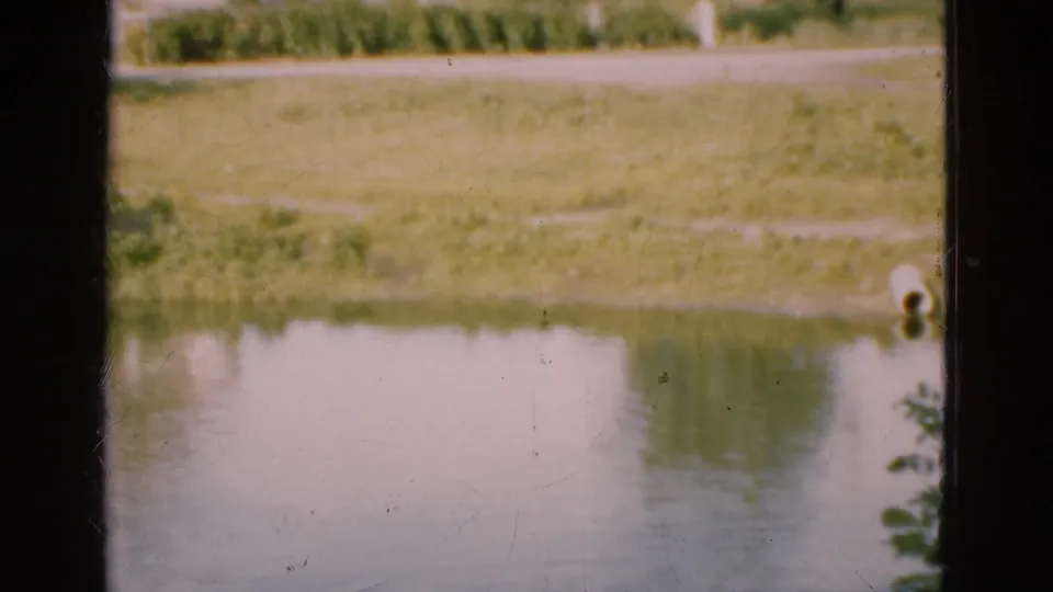 1975 Denmark frame looking through a window at a calm pond, grassy bank, roadside, trees, and reflections.