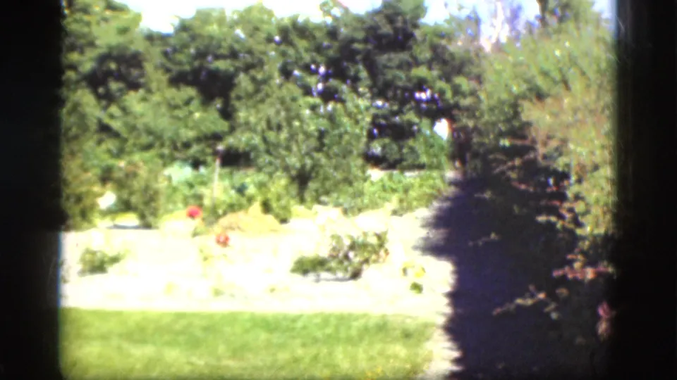 1975 Denmark 8mm frame showing a sunlit cemetery garden area with grass, shrubs, trees, and a path.