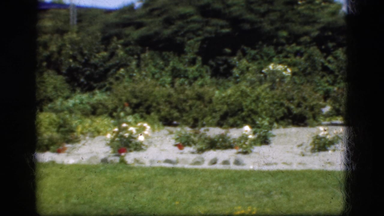 Garden lawn with flower beds, shrubs, and houses beyond the yard.