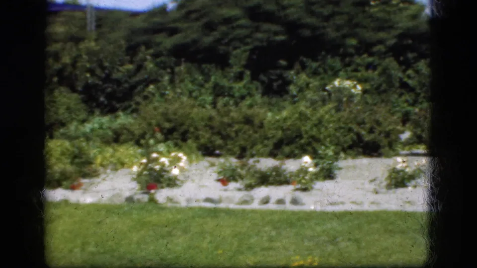 1975 Denmark home-movie frame showing a green lawn, flower beds, shrubs, and neighboring houses beyond the garden.