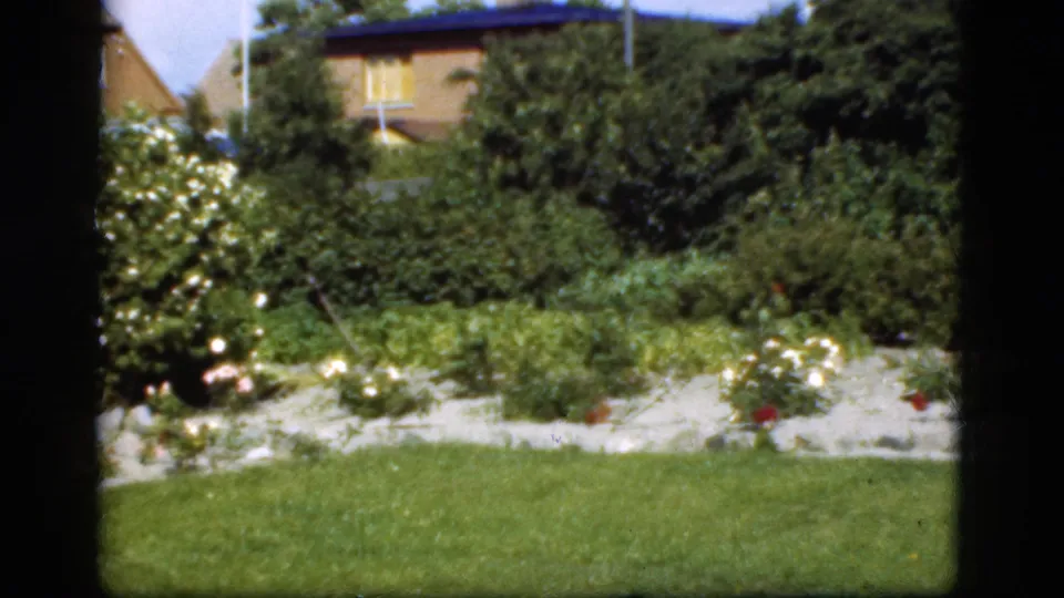 1975 Denmark home-movie frame of a landscaped yard with lawn, flowering shrubs, garden beds, and houses behind it.