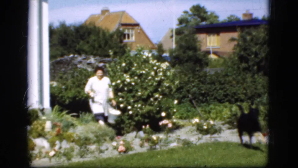 1975 Denmark frame showing a woman in white carrying a bucket through a flowering garden while a dark dog stands nearby.