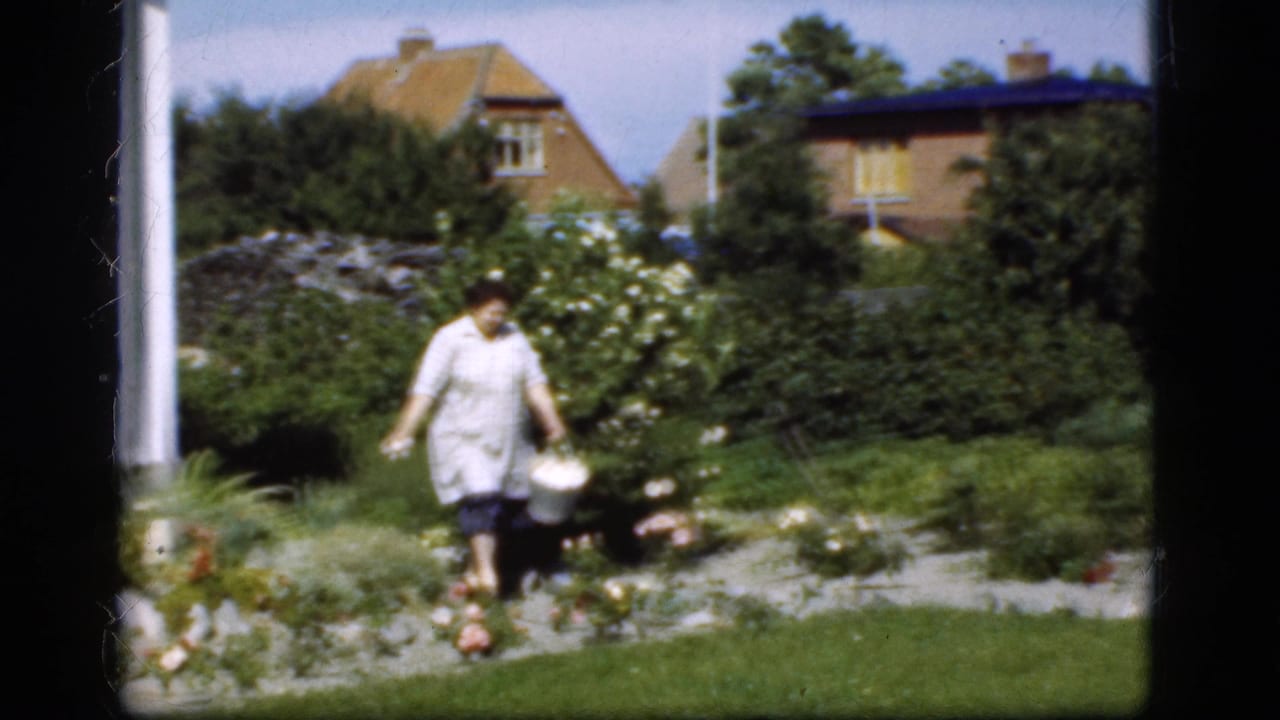 Woman carrying a small white pail walks through a sunny garden beside a house.