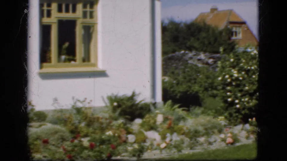 A pale house exterior with a yellow-trimmed window overlooks a planted garden bed in this Denmark 1975 home-movie frame.