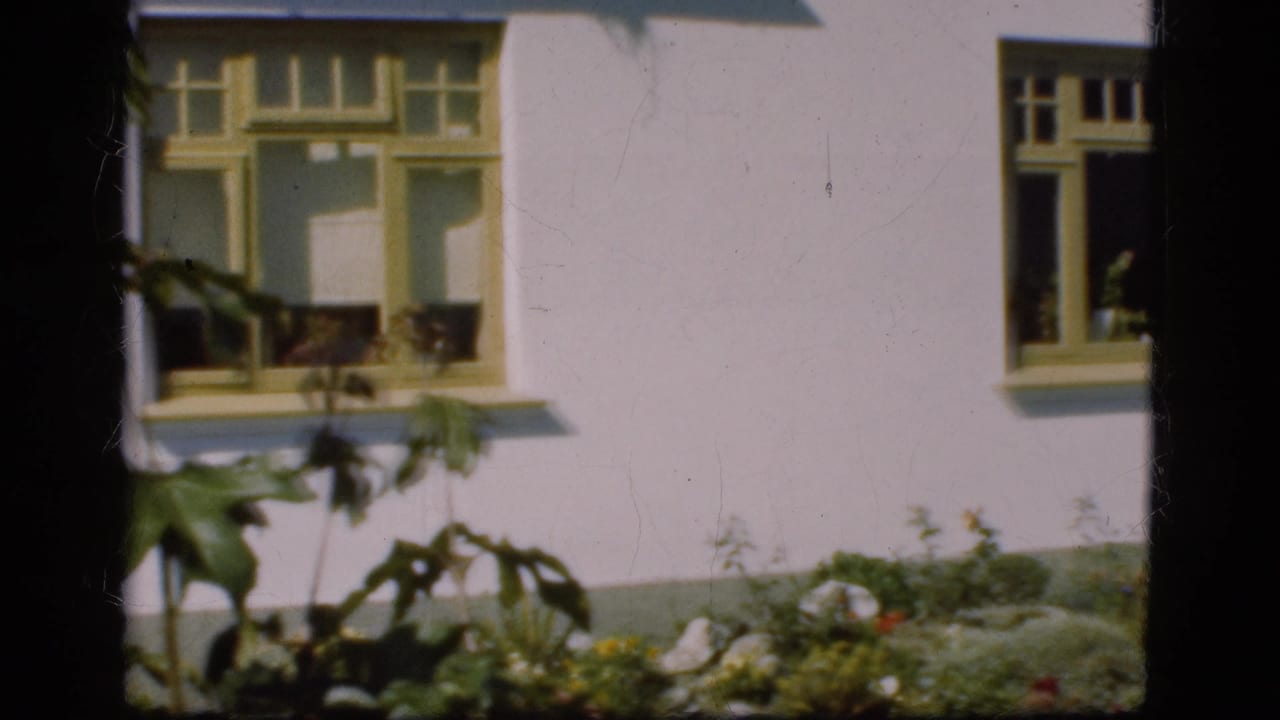 1975 Denmark 8mm view of a yellow-framed window above garden plants, with dark film spacing at the side.