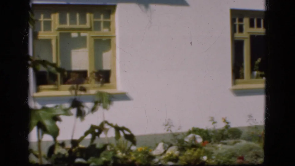 1975 Denmark 8mm view of a yellow-framed window above garden plants, with dark film spacing at the side.