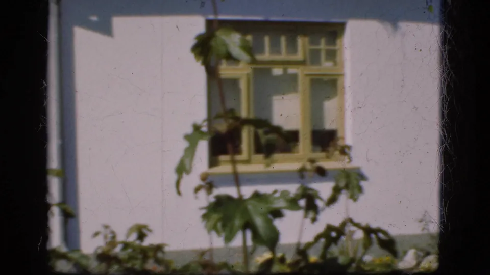 1975 Denmark home-movie frame showing a house window, white wall, downpipe, and broad-leafed plants in the garden.