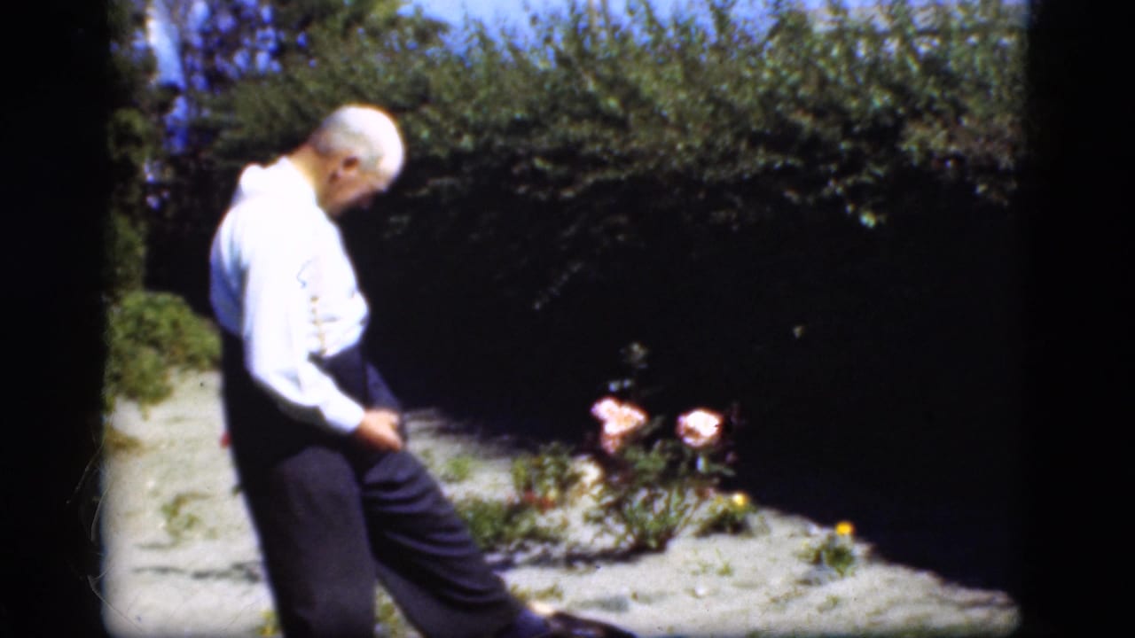 Older man in a white shirt and dark trousers stands by pink flowers in a Danish garden, with hedge and path behind him.