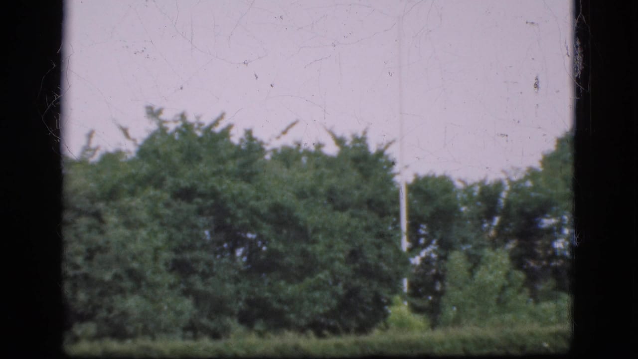 A Denmark 1970s home-movie view shows a green field with bushes and trees beneath a pale sky.