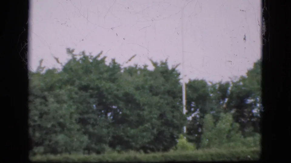 A Denmark 1970s home-movie view shows a green field with bushes and trees beneath a pale sky.