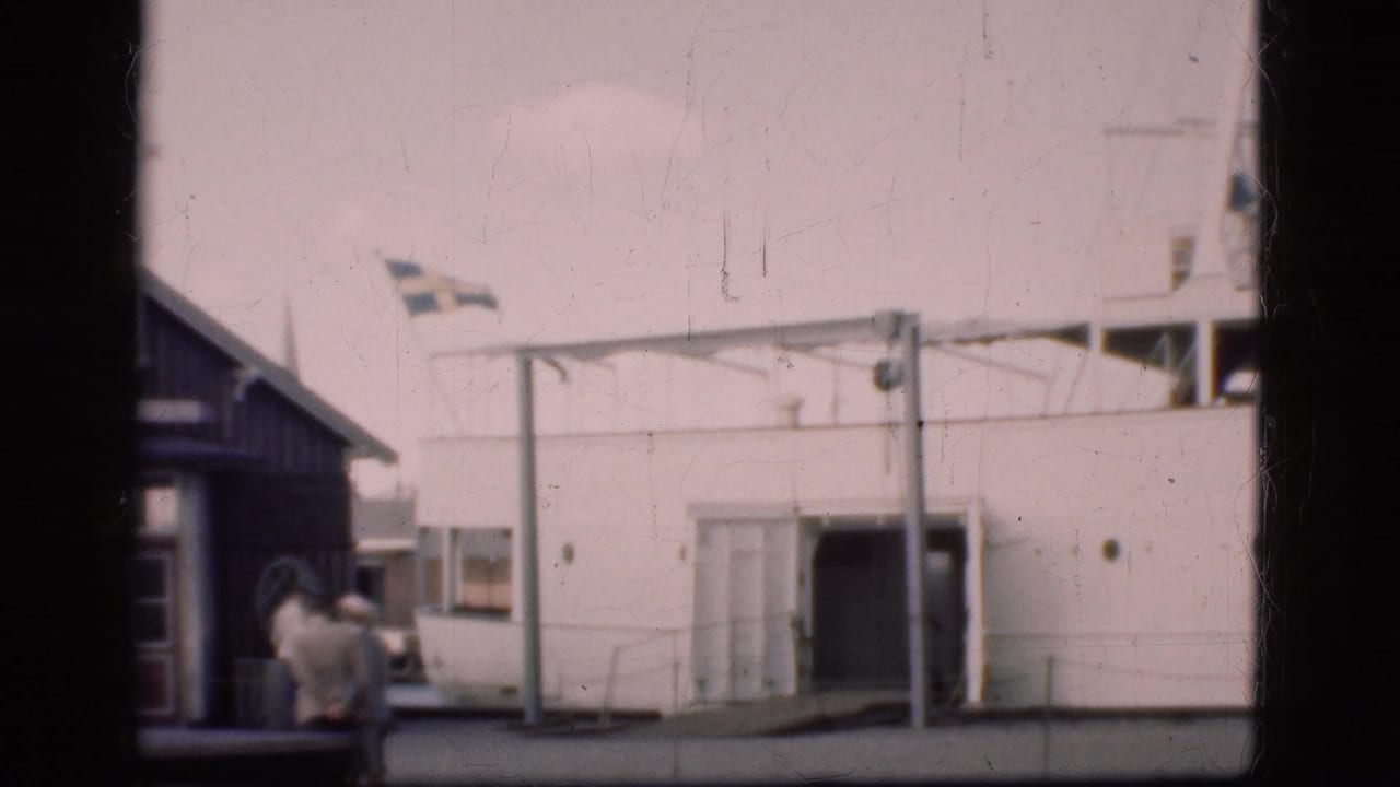 Dockside ferry entrance with a Swedish flag and people near a small building.