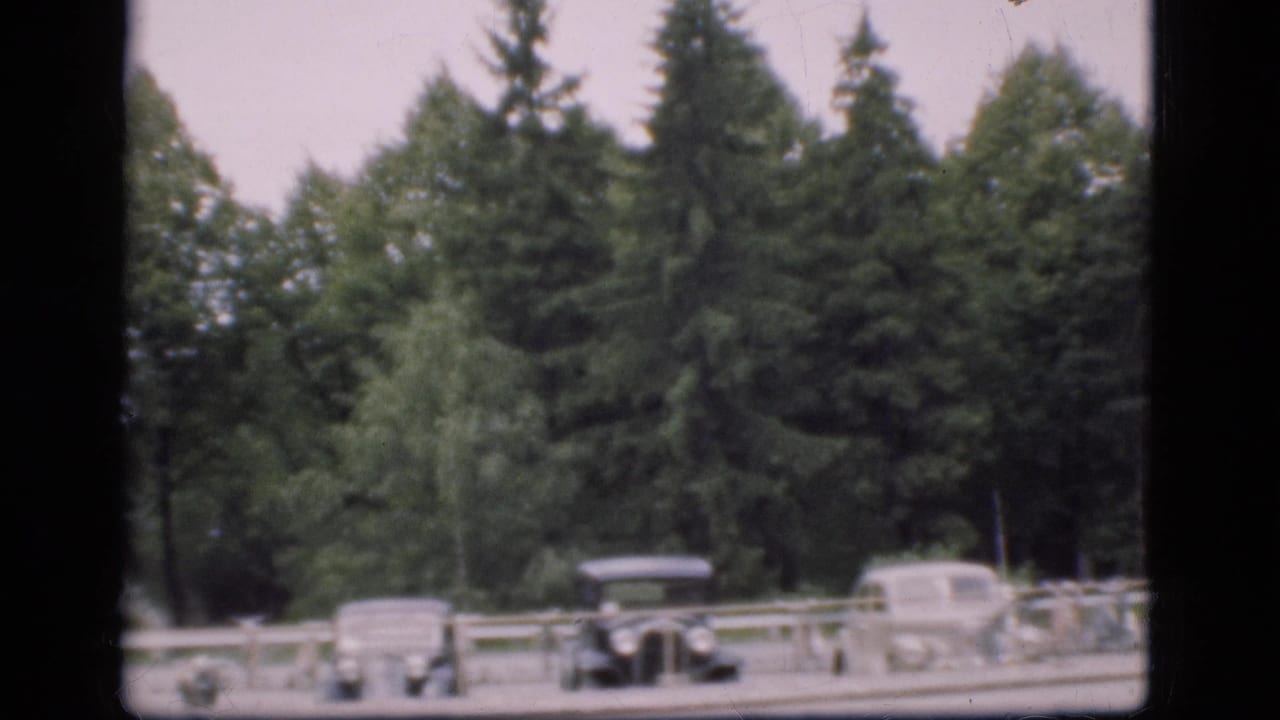 1975 Denmark 8mm frame with several classic cars parked near a pale railing, backed by dense evergreen trees.