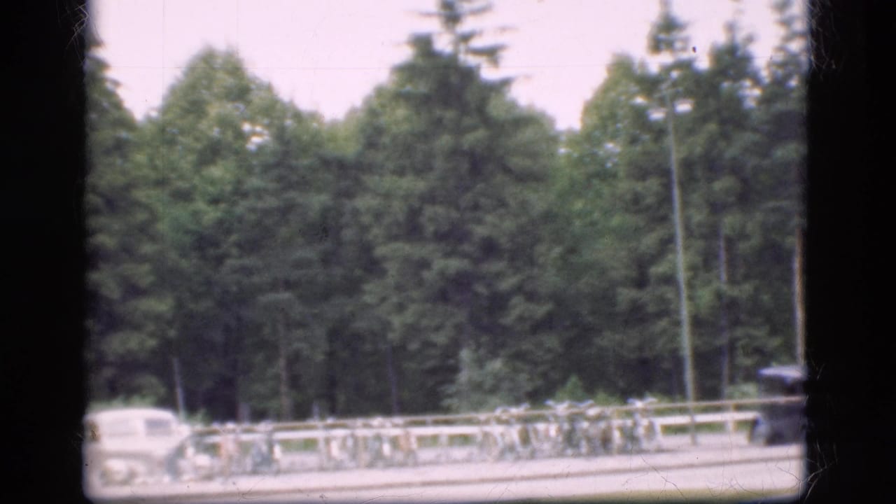 1975 Denmark 8mm frame showing a tree-lined road, a white car, roadside railing, and parked bicycles in soft focus.