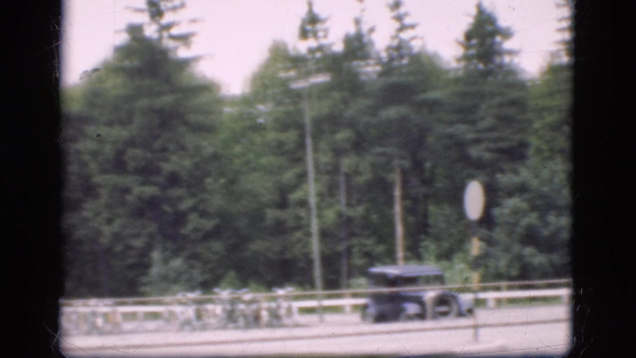 Dark car near a roadside railing with dense trees and a round traffic sign.