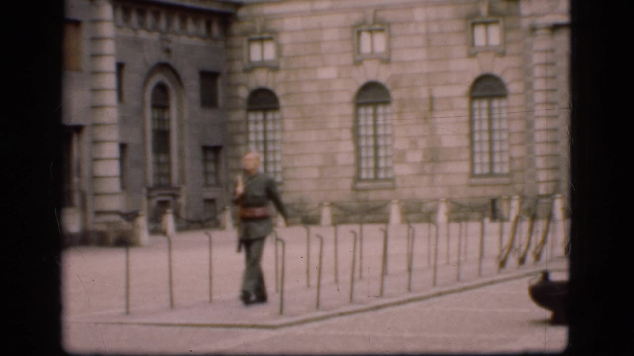 Uniformed soldier with rifle walks beside bollards in front of a stone facade.