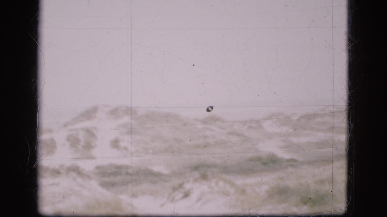A soft 8mm view of snow-covered Danish terrain with low hills and a washed-out winter sky.