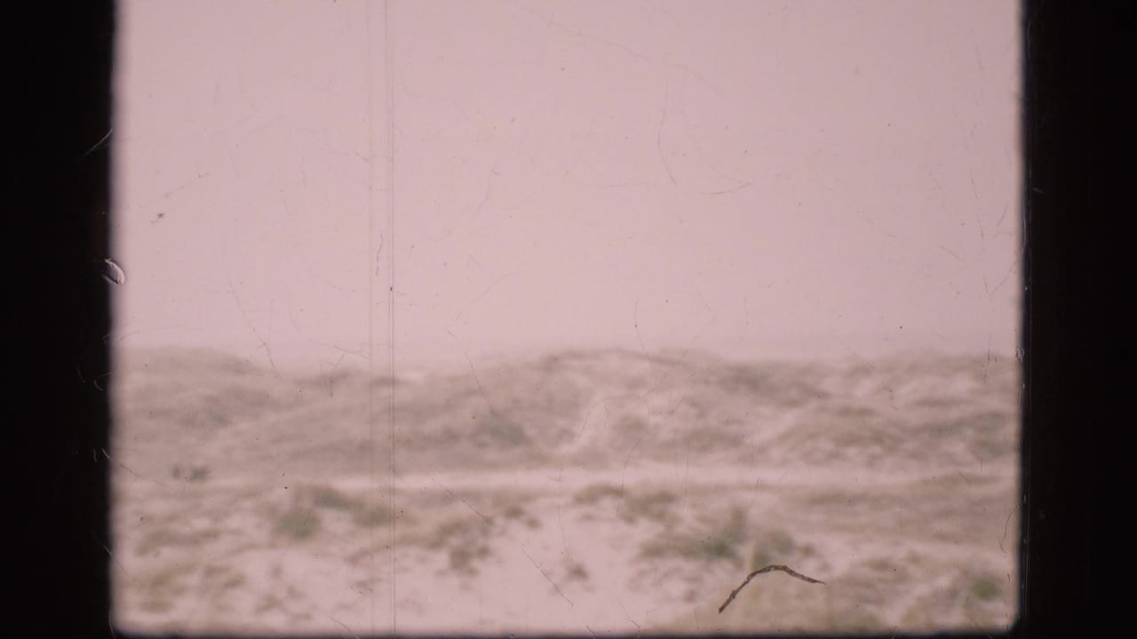 Snowy ridge and sparse vegetation under a washed-out winter sky.