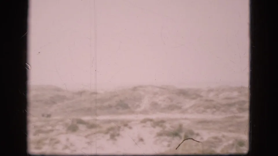 A grainy 8mm view of a Danish winter ridge, with muted snow cover, sparse plants, and prominent scan borders.