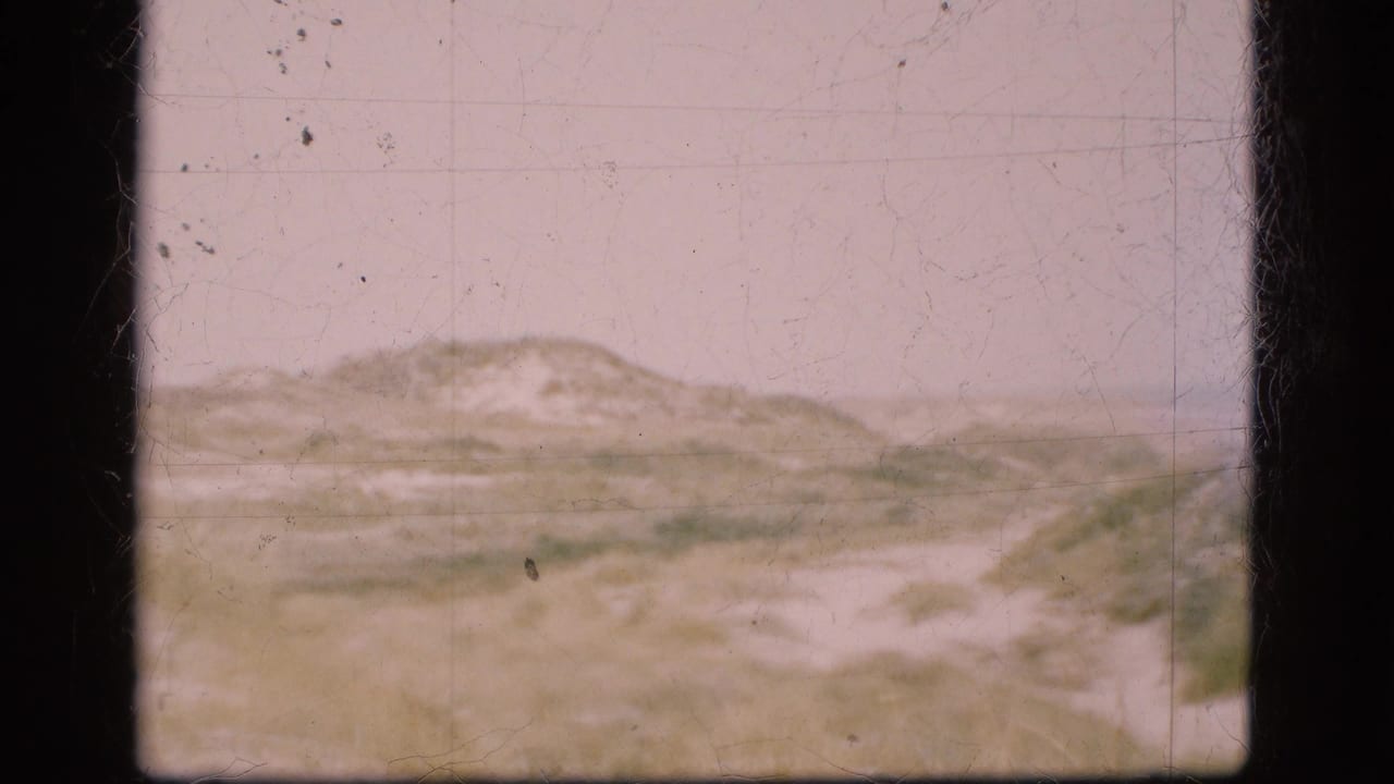 Low dune ridge with sparse grass under a pale sky.