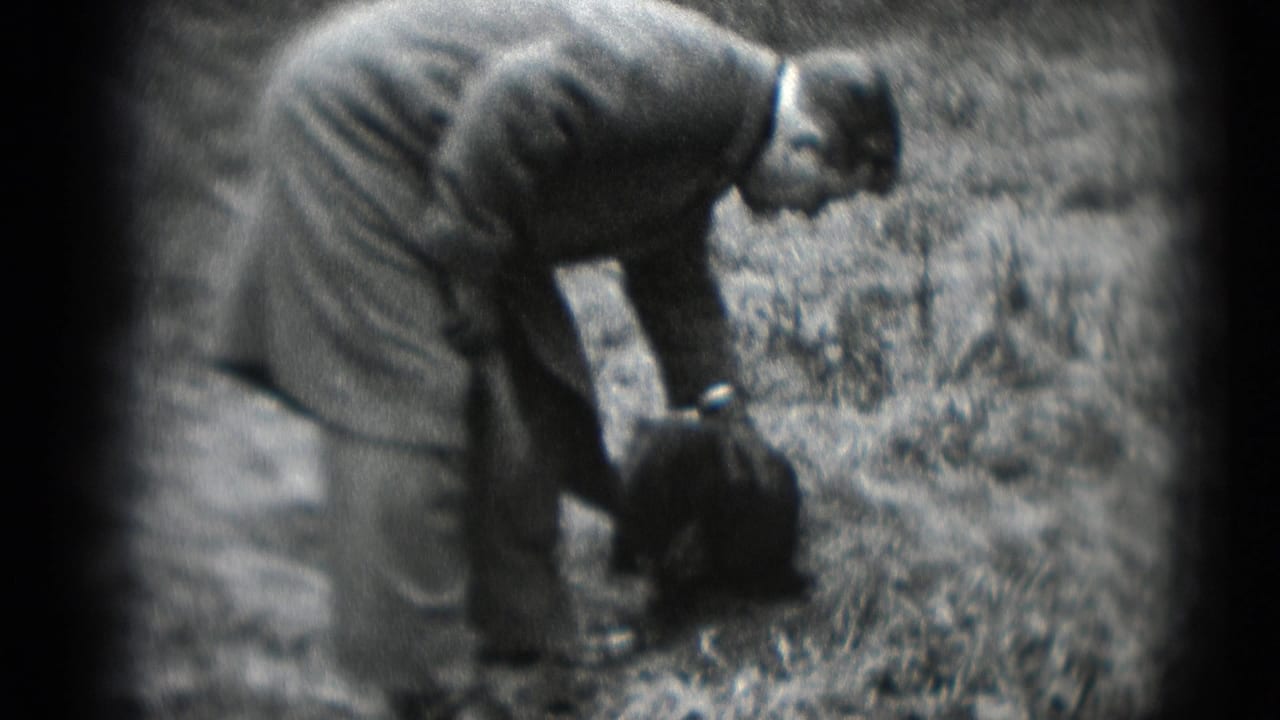 In metadata-dated 1948 Middletown, Pennsylvania footage, a man in a coat bends toward a small dark dog beside a path in the woods.
