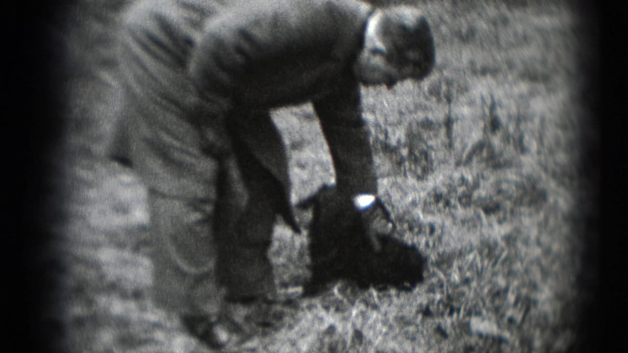Man reaches toward a small dark dog while standing on leaf-covered ground.