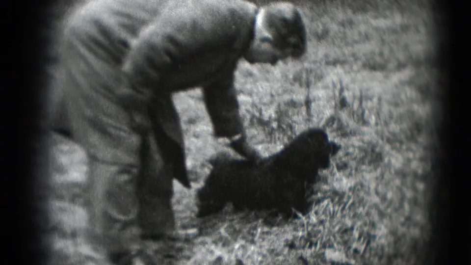The man remains bent over as the small black dog stands or shifts on the leaf-covered ground in this 8mm home-movie frame.