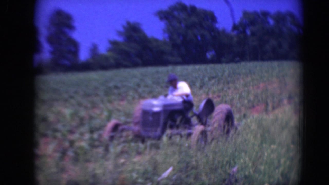 Man driving an older tractor through a green crop field.