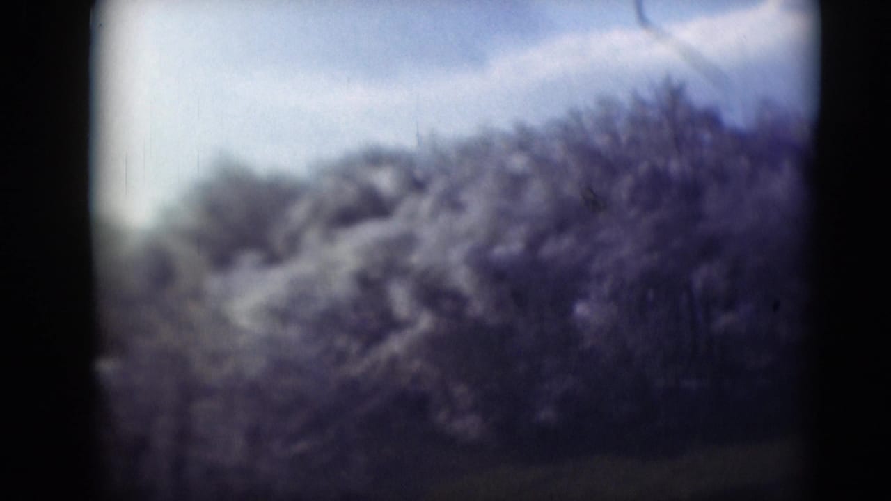 Middletown, Pennsylvania home-movie frame showing dense brush and a blurred treeline under bright sky, with visible 8mm frame edges.