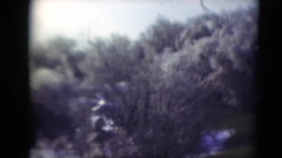 The pan continues across scrubby vegetation and bare tree shapes, with no people, signs, or buildings visible in the frame.