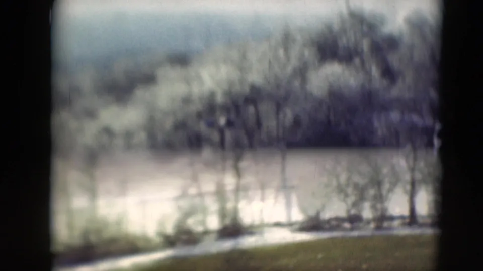 Final frame shows sparse trunks, low brush, pale ground, and distant vegetation in soft-focus 8mm home-movie color.