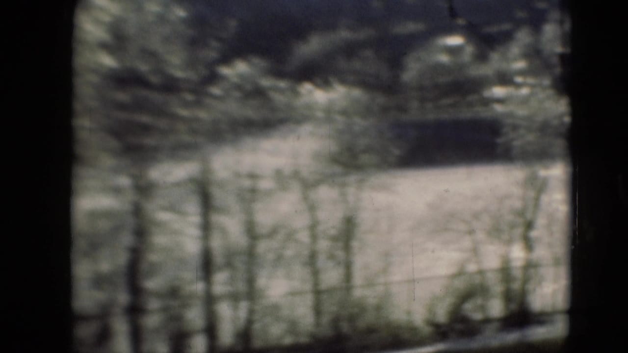 Soft, blurred trees and brush seen from a moving vehicle with dark film edges.