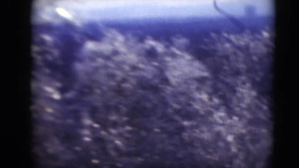 Soft 8mm footage turns nearly abstract as foliage and branches smear across the frame with a blue-purple color shift.