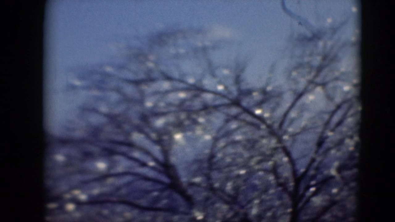 Bare branches silhouetted in soft focus against a blue-purple sky in archival 8mm footage attributed to Middletown, Pennsylvania.