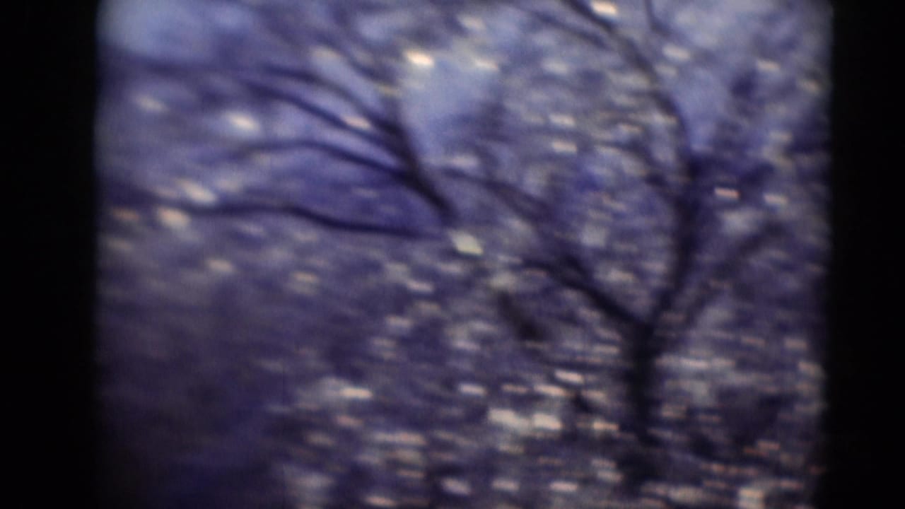 Out-of-focus bare branches and bright flecks beside a dark vertical film edge.