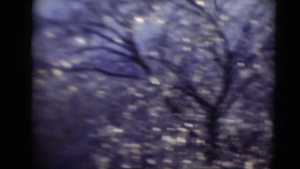 Soft, grainy 8mm view of bare branches and light flecks, with a dark vertical border dividing the scanned frame.
