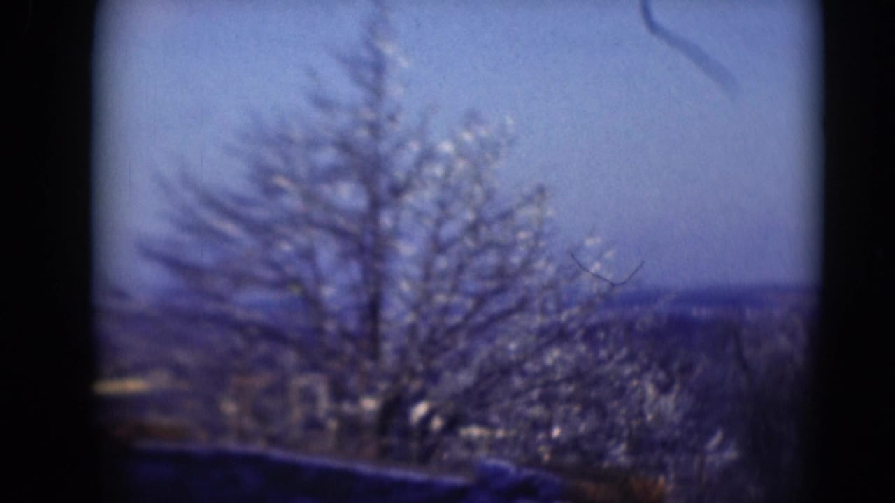 A bare tree and low distant horizon appear in soft-focus 8mm footage associated with Middletown, Pennsylvania.