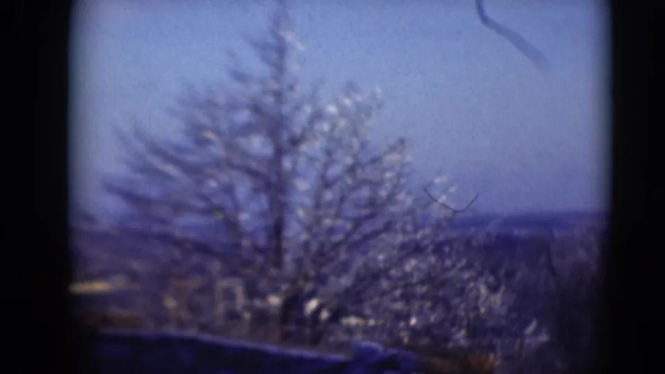 A bare tree and low distant horizon appear in soft-focus 8mm footage associated with Middletown, Pennsylvania.