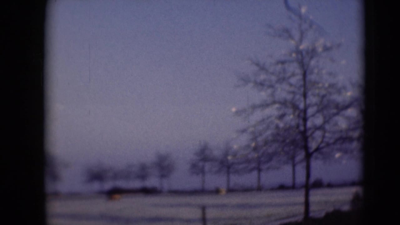 Leafless trees and snowy ground with distant shapes near the horizon.